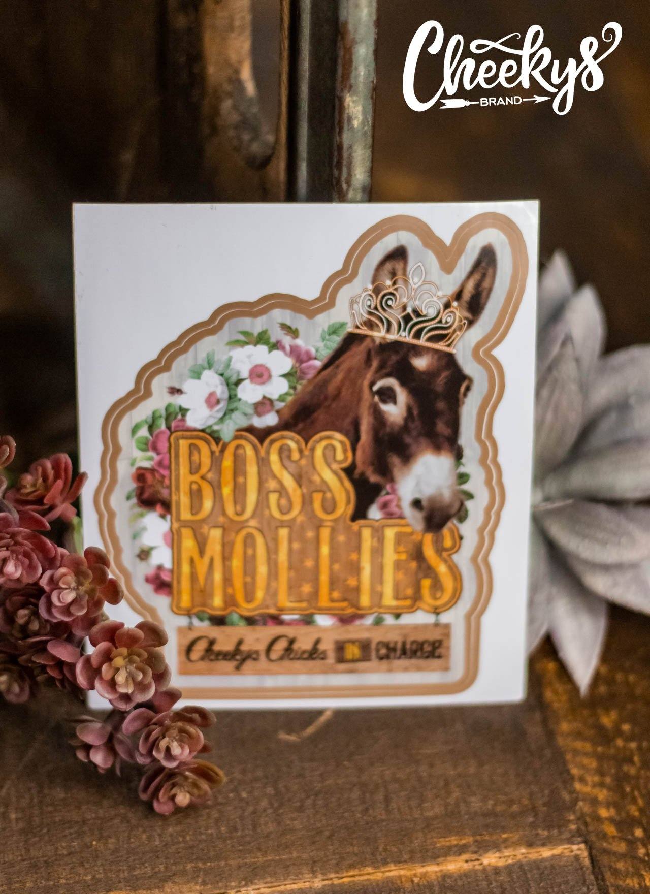 Boss Molly Decal Accessories 46 