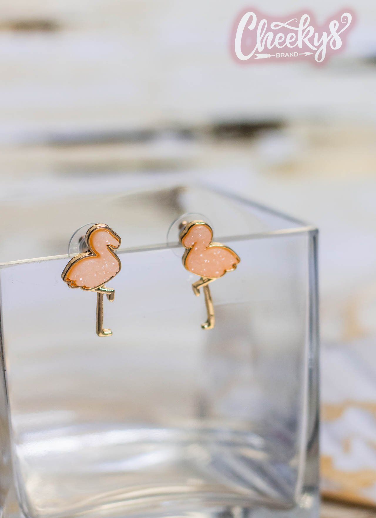 Coral Flamingo Earrings Jewelry 03 